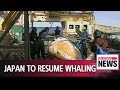 Japan announces withdrawal from International Whaling Commission to resume commercial whaling