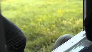 Cloud Control - Gold Canary