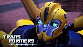 Transformers: Prime - Bee Trap
