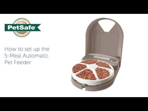 How To Setup Your PetSafe® 5-Meal Automatic Pet Feeder
