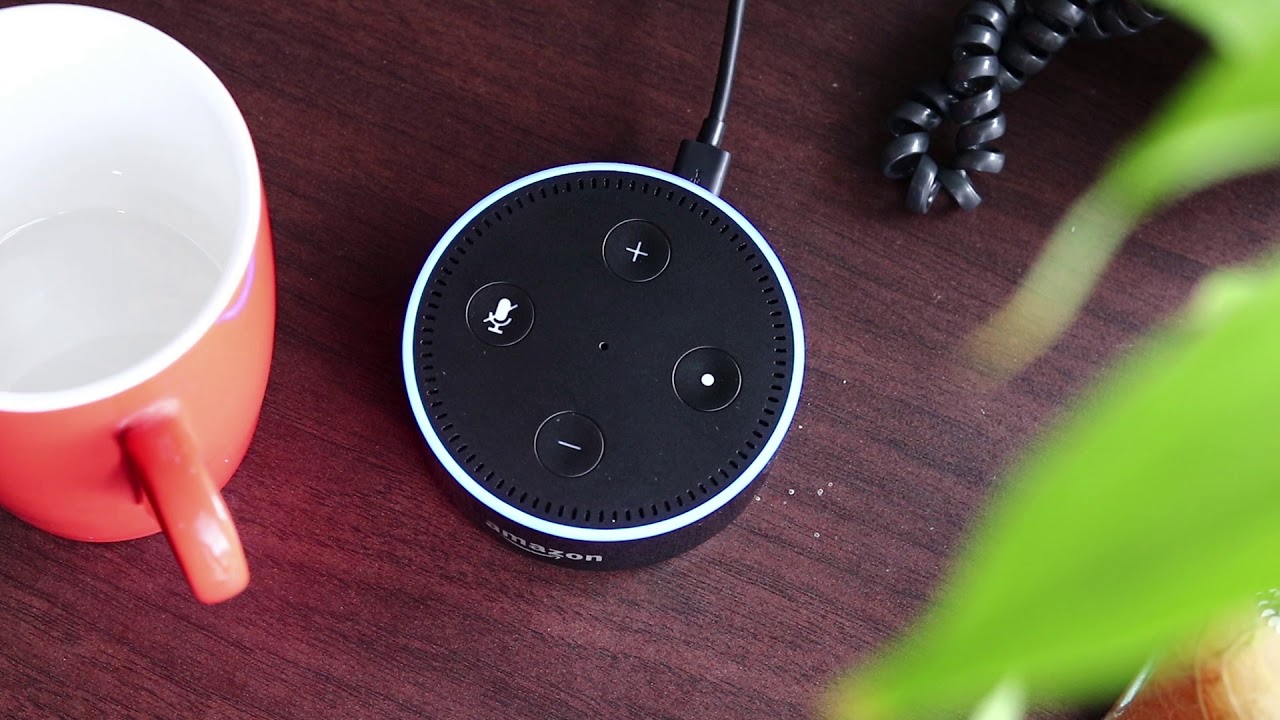 Alexa, Ask Polymerupdate For Polyethylene Price