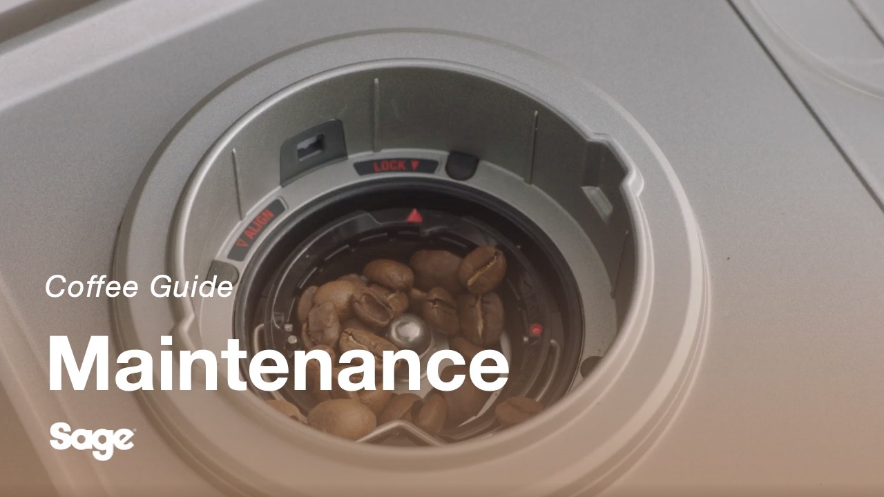How to clean grinder conical burrs