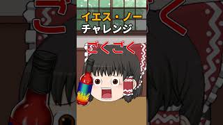 【ゆっくり茶番】霊夢がイエス・ノーチャレンジ何が出てくるでしょうか#ゆっくり #shorts #ゆっくり茶番