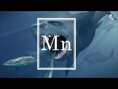 Do Mega Sharks Still Exist? (featuring Sam Kean) - Reactions