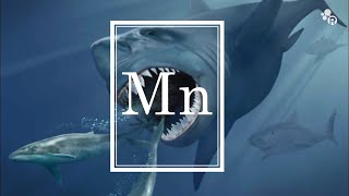 Do Mega Sharks Still Exist?