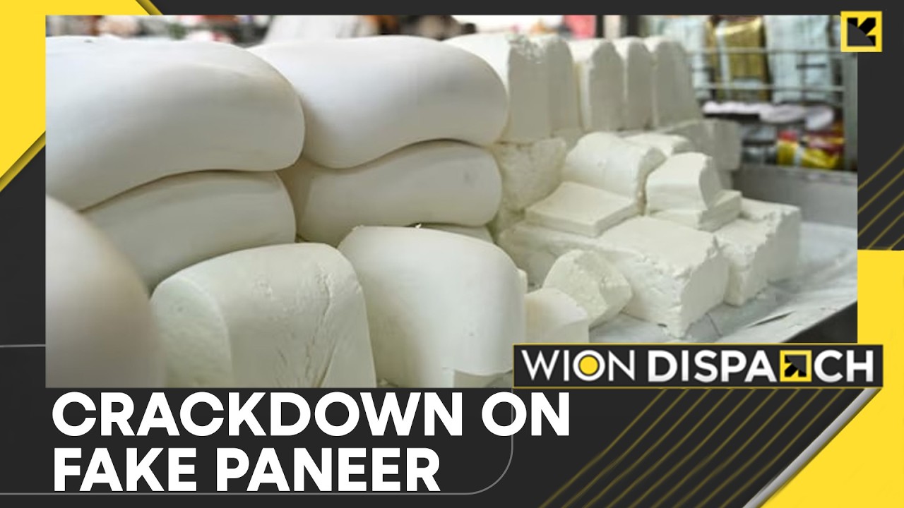 Gujarat Becomes Third Indian State to Ban Analogue Paneer | WION Dispatch