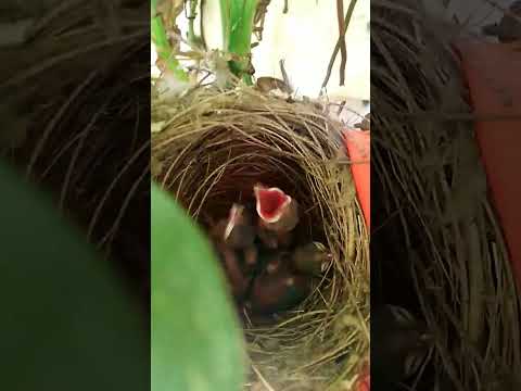 Beautiful moment this life 💕🦋💫#trending #viralvideo #youtubeshorts #yt #maa