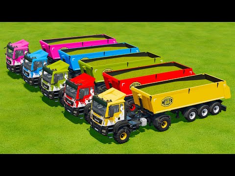 CUT SUNFLOWER AND MAKE CHAFF WITH KRONE FORAGE HARVESTER AND MAN TRUCKS - Farming Simulator 22