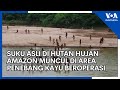 Suku Asli Di Hutan Hujan Amazon Muncul Di Area Penebang Kayu Beroperasi