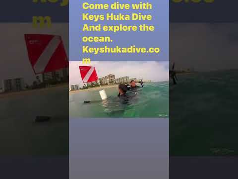 Diving in Venice Florida with keys Huka dive