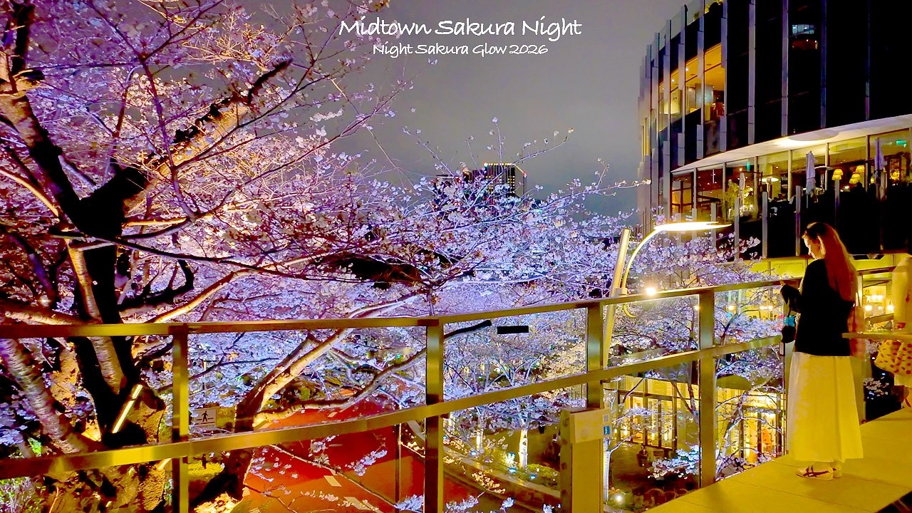 4K60【六本木ミッドタウン幻想夜桜】ライトアップ散歩 2026 東京 Japan
