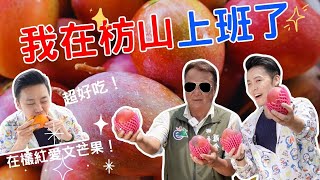 [問卦]  請問這個油土伯的主持風格要打幾分？