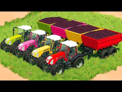 HARVEST RED CABBAGE AND POTATOES WITH LANDINI And RIGITRAC TRACTORS - Farming Simulator 2022