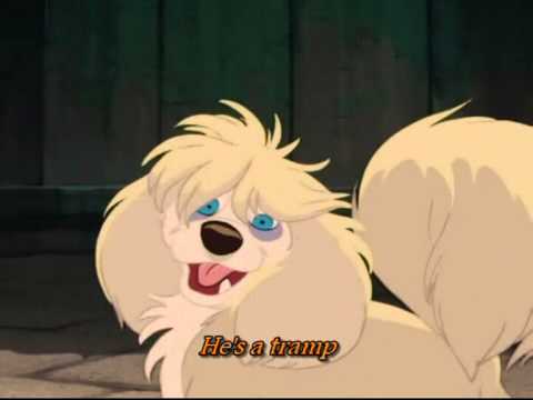 Lady and the tramp - He's a tramp