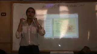 Gynaecology - Dr.Nadine Alaa - Anatomy of the female genital tract