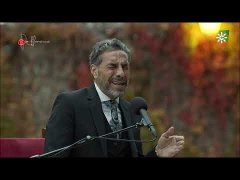 Granaína. Pedro El Granaíno. 2021