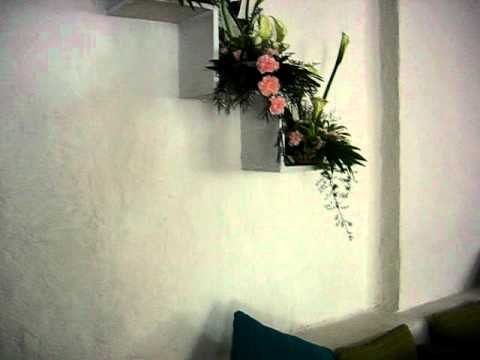 Olive Rest Vedio-1.avi