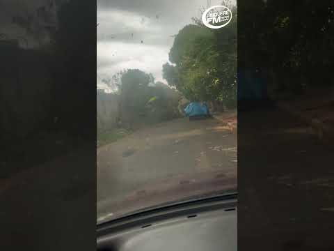 VENDAVAL IMPRESSIONA NO PARANÁ