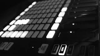 Analog Jungle - Luke Payler, Otis Romero (original live record)