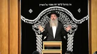 הרב אברהם פכטר כולל "מדרש אליהו" אלעד