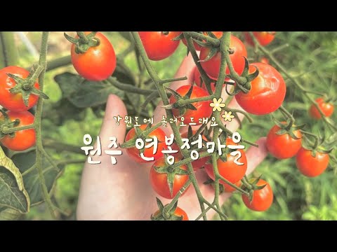 원주 연봉정마을