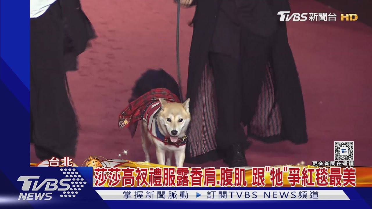 莎莎高衩禮服露香肩、腹肌 跟「牠」爭紅毯最美
