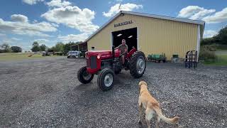 Massey Ferguson 65 wheel tractor | Image 4 - Agroline