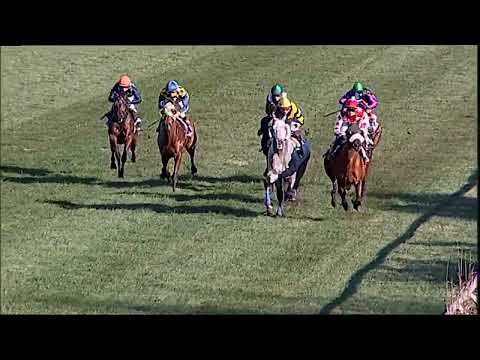 Napoli Galoppo 10/01/2023 - 3ª corsa