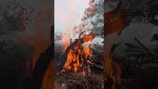 Download lagu LISTEN to This Fire! #fire #firesounds #sounds #soundtherapy mp3 Download lagu LISTEN to This Fire! #fire #firesounds #sounds #soundtherapy mp3