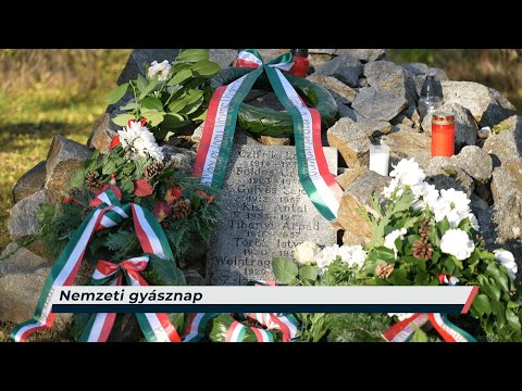 Híradó – 2025.11.04. – Kedd