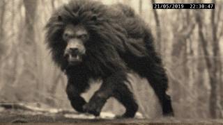 Terrifying New Species Discoveries Scientists Can't Explain