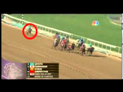 Gran triunfo de Calidoscopio en Estados Unidos