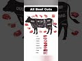 Beef cuts #beefcuts #beef #beefcutting #beefshortribs #advancedenglish #english #ielts