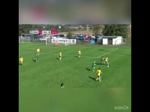 Luana Zajmi highlights