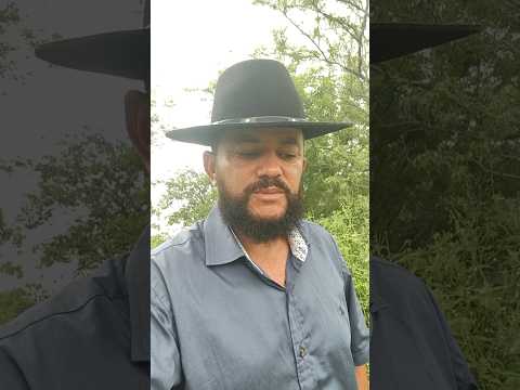 vendo essa maravilha em araripina pe Tamanho 2 hectares valor 170 mil 8799102 3154