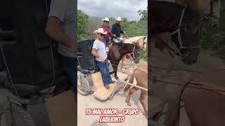 tu mal amor - grupo laberinto