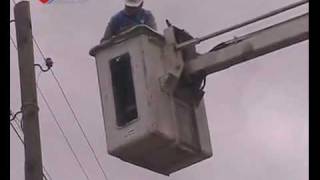 EPIC cat rescue fail