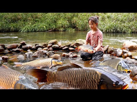 Little Girl Catches Giant Fish | Fishing Techniques – Catches Multiple Giant Carp in the Wild