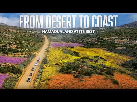 Opposite Lock Africa and 2 more