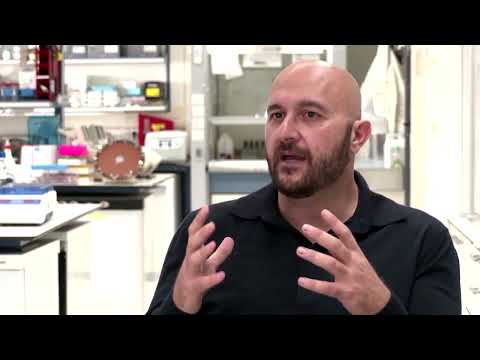 The human-like embryo made without eggs or sperm