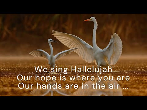 Celebrate Africa - Hallelujah (Lyrics)