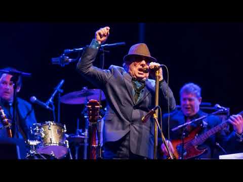 Van Morrison - Out in The Cold Again