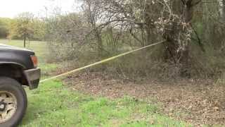 How to clear Brush and Undergrowth