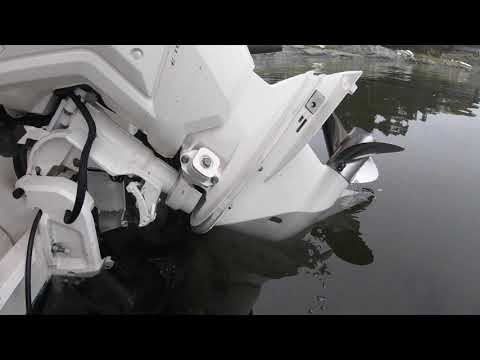 2020 Evinrude E-Tec G2 140hp | WOT & fuel consumption