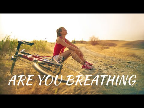 SUNNY FRUIT – ARE YOU BREATHING [OFFICIAL MUSIC VIDEO] 🔥 Background Music 🔴 Vlog Music 🔥 Electronic