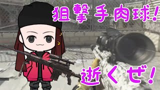 狙撃手肉球が逝く!COD MW実況プレイ＼(^o^)／