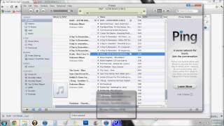 Tutorial: How to download songs onto your iTunes