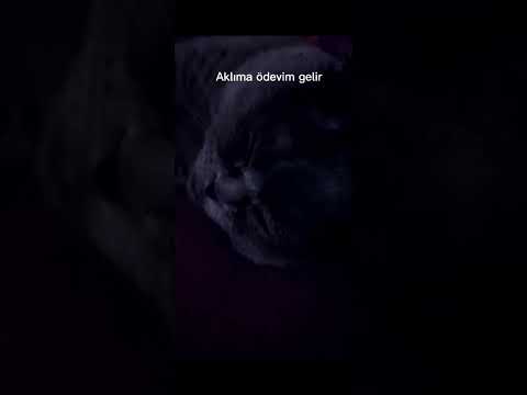 Gece 3'te eksi 100 derecede...