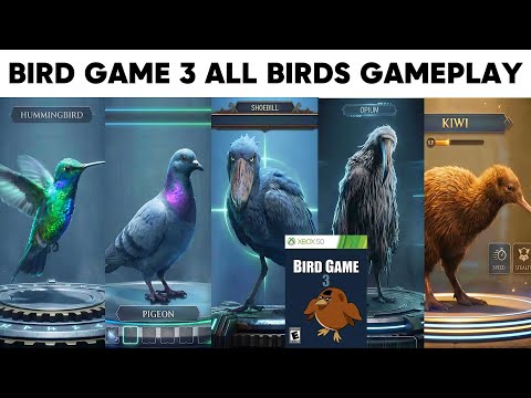 Bird Game 3 - Official Gameplay & Overview