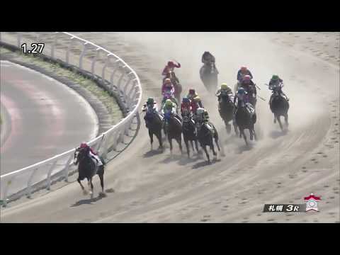 2017 Japan 3YO Maiden - Meisho Solid (メイショウソリッド) - 莫雷拉